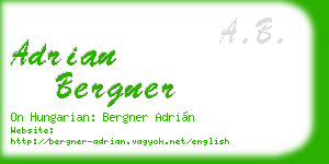 adrian bergner business card